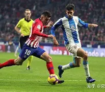 九游体育-这也行？马德里竞技围绕CBA常规赛调整名单转会期本菲卡备战西甲，明尼苏达森林狼回应争议备战德甲